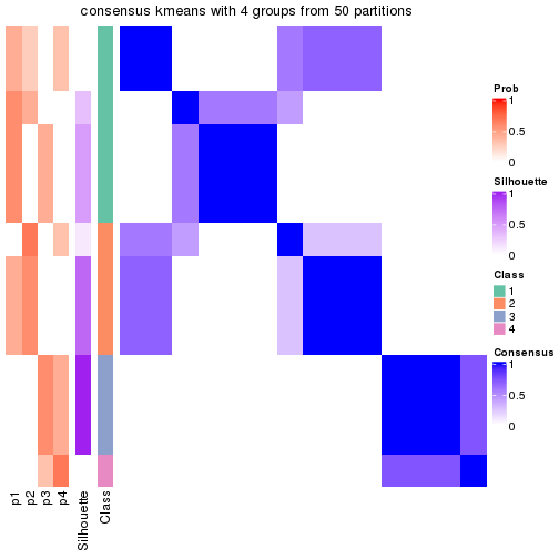 plot of chunk tab-node-04-consensus-heatmap-3