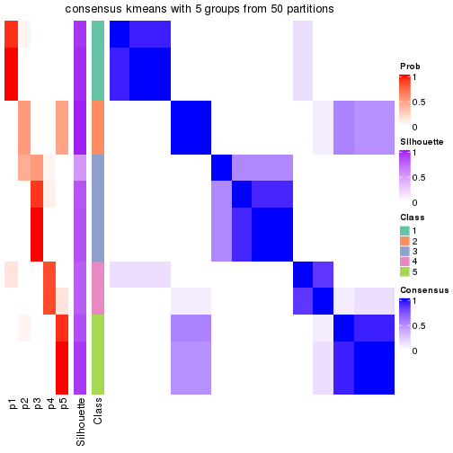 plot of chunk tab-node-04-consensus-heatmap-4