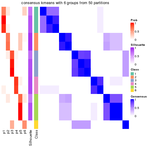 plot of chunk tab-node-04-consensus-heatmap-5