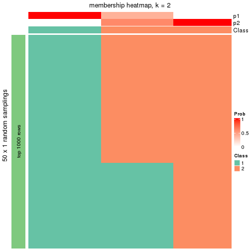 plot of chunk tab-node-04-membership-heatmap-1