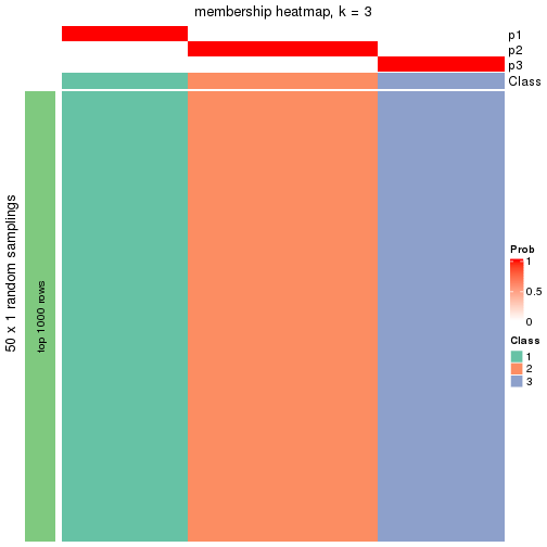 plot of chunk tab-node-04-membership-heatmap-2