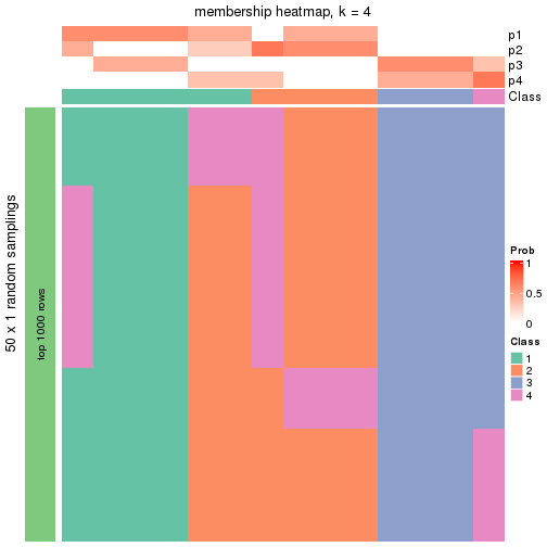 plot of chunk tab-node-04-membership-heatmap-3