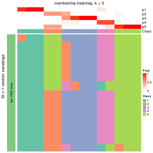 plot of chunk tab-node-04-membership-heatmap-4