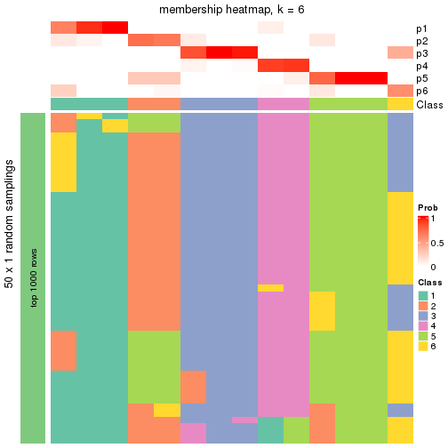 plot of chunk tab-node-04-membership-heatmap-5