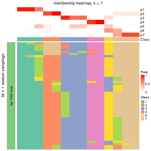 plot of chunk tab-node-04-membership-heatmap-6