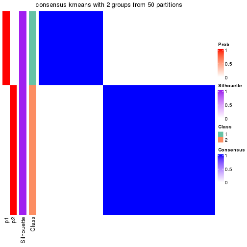 plot of chunk tab-node-05-consensus-heatmap-1