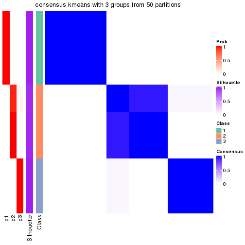 plot of chunk tab-node-05-consensus-heatmap-2