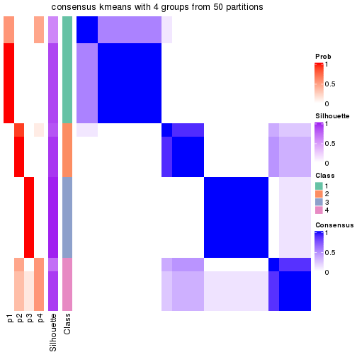 plot of chunk tab-node-05-consensus-heatmap-3