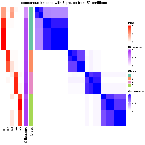 plot of chunk tab-node-05-consensus-heatmap-4