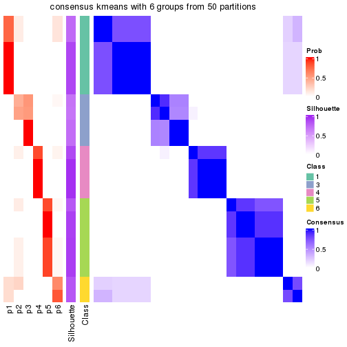 plot of chunk tab-node-05-consensus-heatmap-5