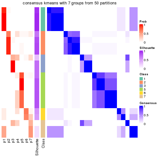 plot of chunk tab-node-05-consensus-heatmap-6