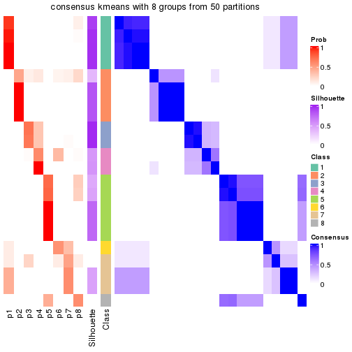 plot of chunk tab-node-05-consensus-heatmap-7