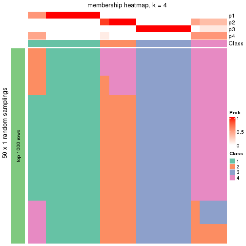 plot of chunk tab-node-05-membership-heatmap-3