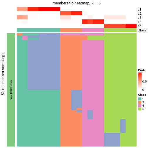 plot of chunk tab-node-05-membership-heatmap-4