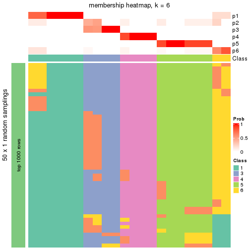 plot of chunk tab-node-05-membership-heatmap-5