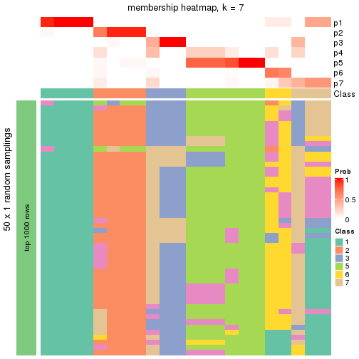 plot of chunk tab-node-05-membership-heatmap-6