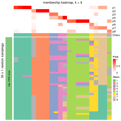 plot of chunk tab-node-05-membership-heatmap-7