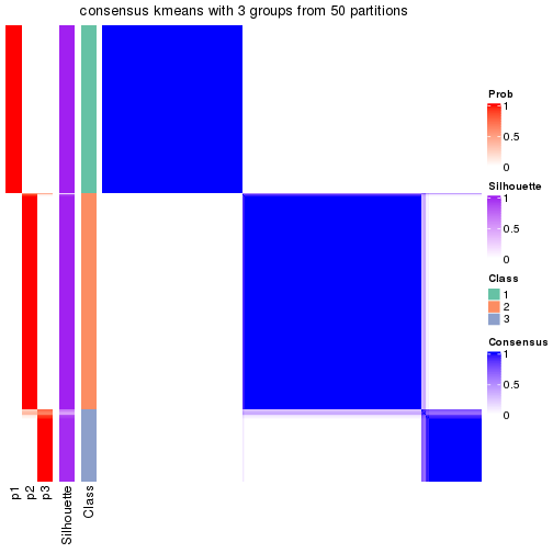 plot of chunk tab-node-0-consensus-heatmap-2