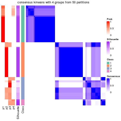 plot of chunk tab-node-0-consensus-heatmap-3