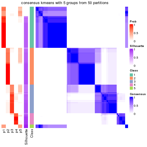 plot of chunk tab-node-0-consensus-heatmap-4