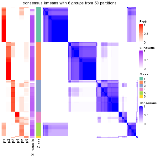 plot of chunk tab-node-0-consensus-heatmap-5