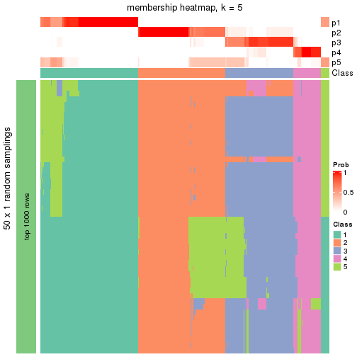 plot of chunk tab-node-0-membership-heatmap-4