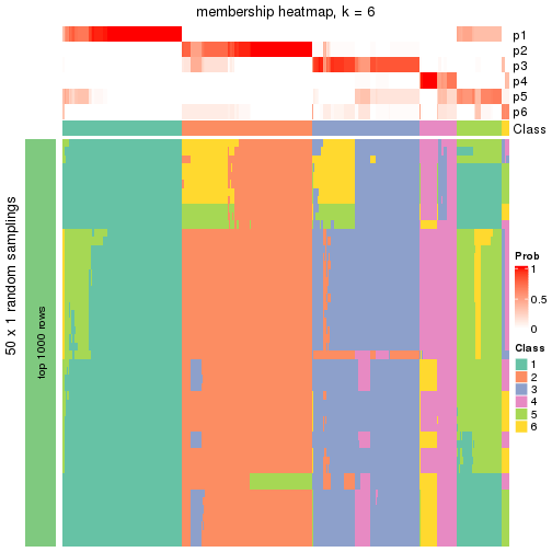 plot of chunk tab-node-0-membership-heatmap-5