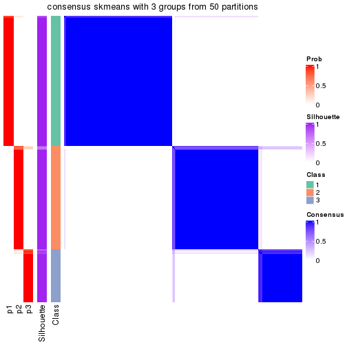 plot of chunk tab-node-01-consensus-heatmap-2