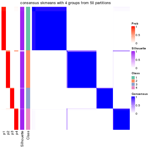 plot of chunk tab-node-01-consensus-heatmap-3