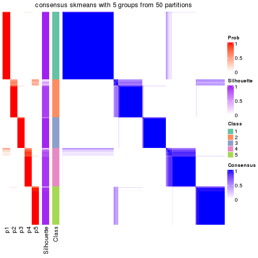 plot of chunk tab-node-01-consensus-heatmap-4