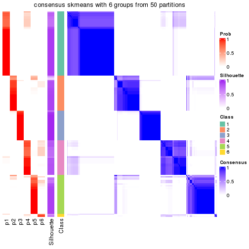 plot of chunk tab-node-01-consensus-heatmap-5