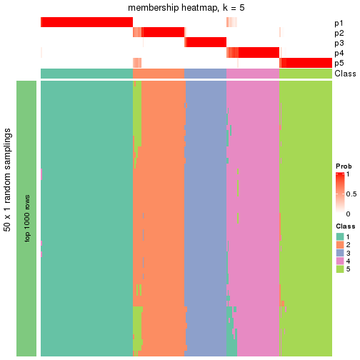 plot of chunk tab-node-01-membership-heatmap-4