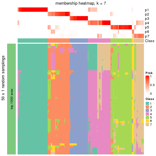 plot of chunk tab-node-01-membership-heatmap-6