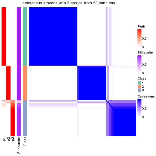 plot of chunk tab-node-011-consensus-heatmap-2