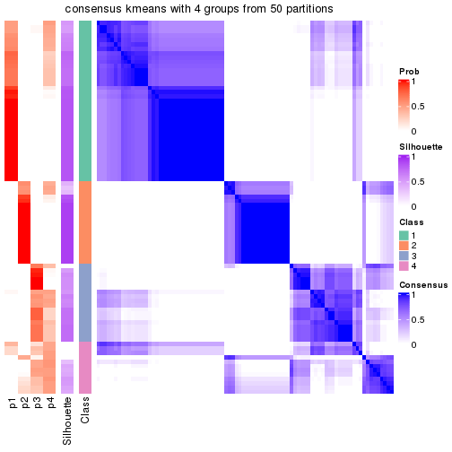 plot of chunk tab-node-011-consensus-heatmap-3