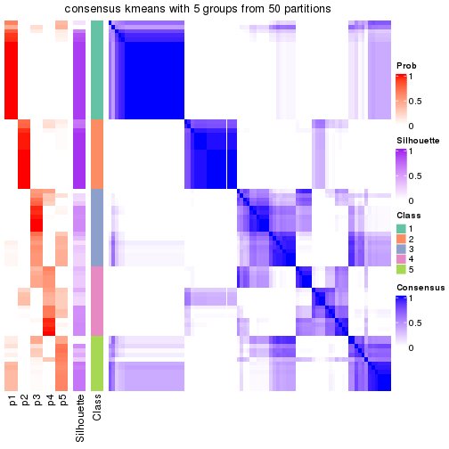 plot of chunk tab-node-011-consensus-heatmap-4