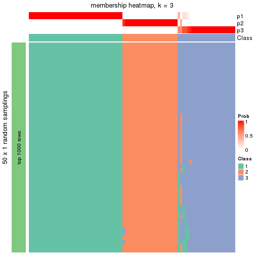 plot of chunk tab-node-011-membership-heatmap-2