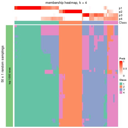 plot of chunk tab-node-011-membership-heatmap-3