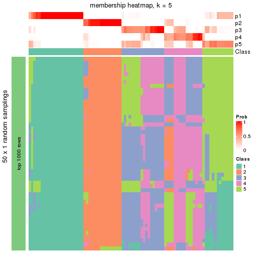 plot of chunk tab-node-011-membership-heatmap-4