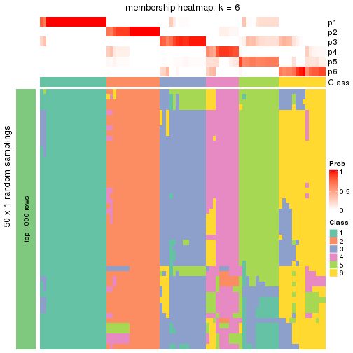 plot of chunk tab-node-011-membership-heatmap-5