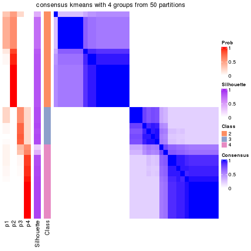 plot of chunk tab-node-0111-consensus-heatmap-3