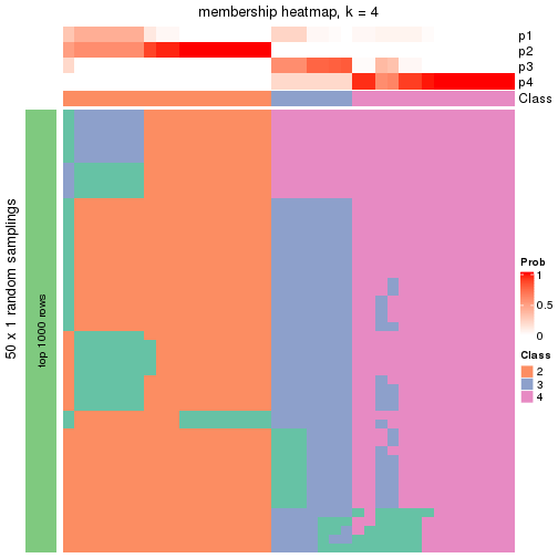 plot of chunk tab-node-0111-membership-heatmap-3