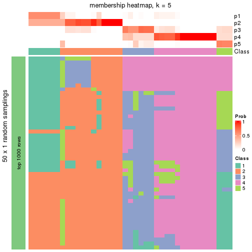 plot of chunk tab-node-0111-membership-heatmap-4