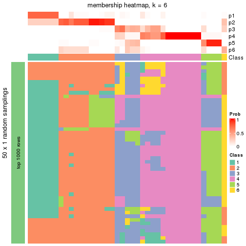 plot of chunk tab-node-0111-membership-heatmap-5