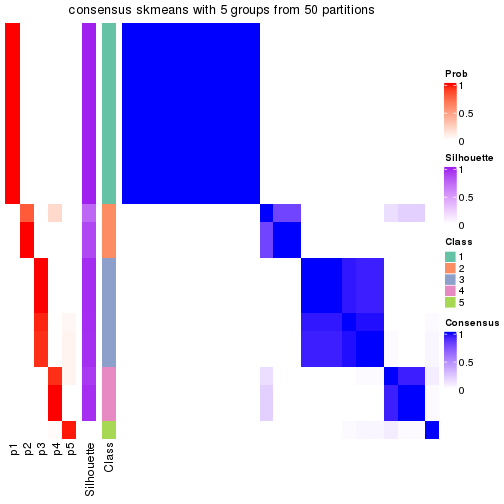 plot of chunk tab-node-0112-consensus-heatmap-4