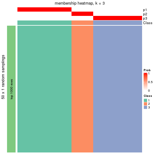 plot of chunk tab-node-0112-membership-heatmap-2