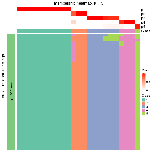 plot of chunk tab-node-0112-membership-heatmap-4