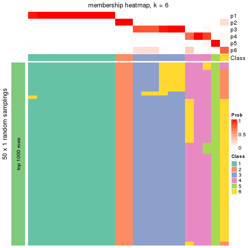 plot of chunk tab-node-0112-membership-heatmap-5