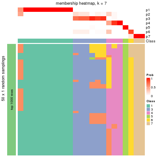 plot of chunk tab-node-0112-membership-heatmap-6