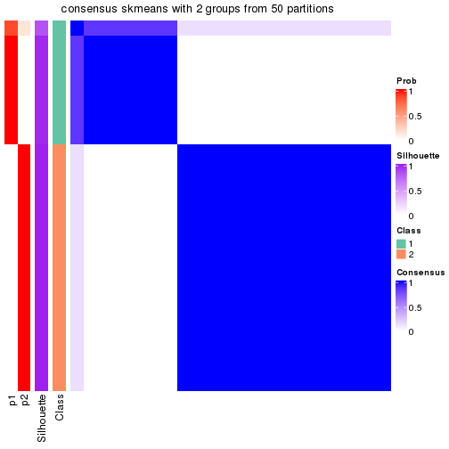 plot of chunk tab-node-0113-consensus-heatmap-1